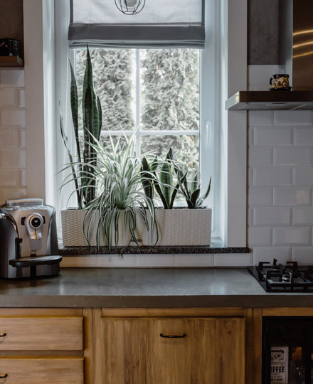 Roman blind in a kitchen window with plants on the sill